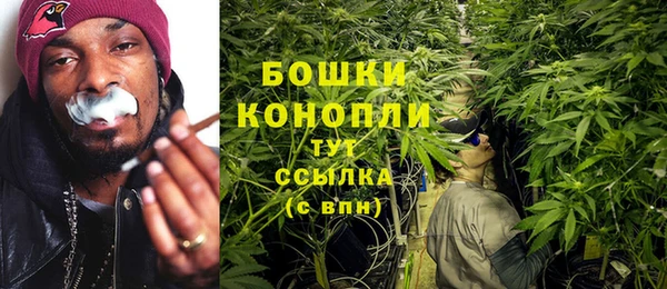 гидропоника Карпинск