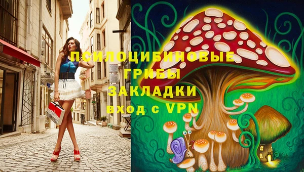 ПСИЛОЦИБИНОВЫЕ ГРИБЫ Карталы