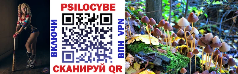Купить  Новоаннинский  Галлюциногенные грибы прущие грибы 